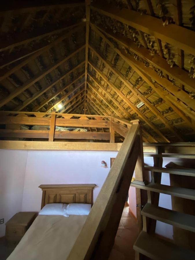 Ecoturismo Cabanas La Florida Cardonal エクステリア 写真